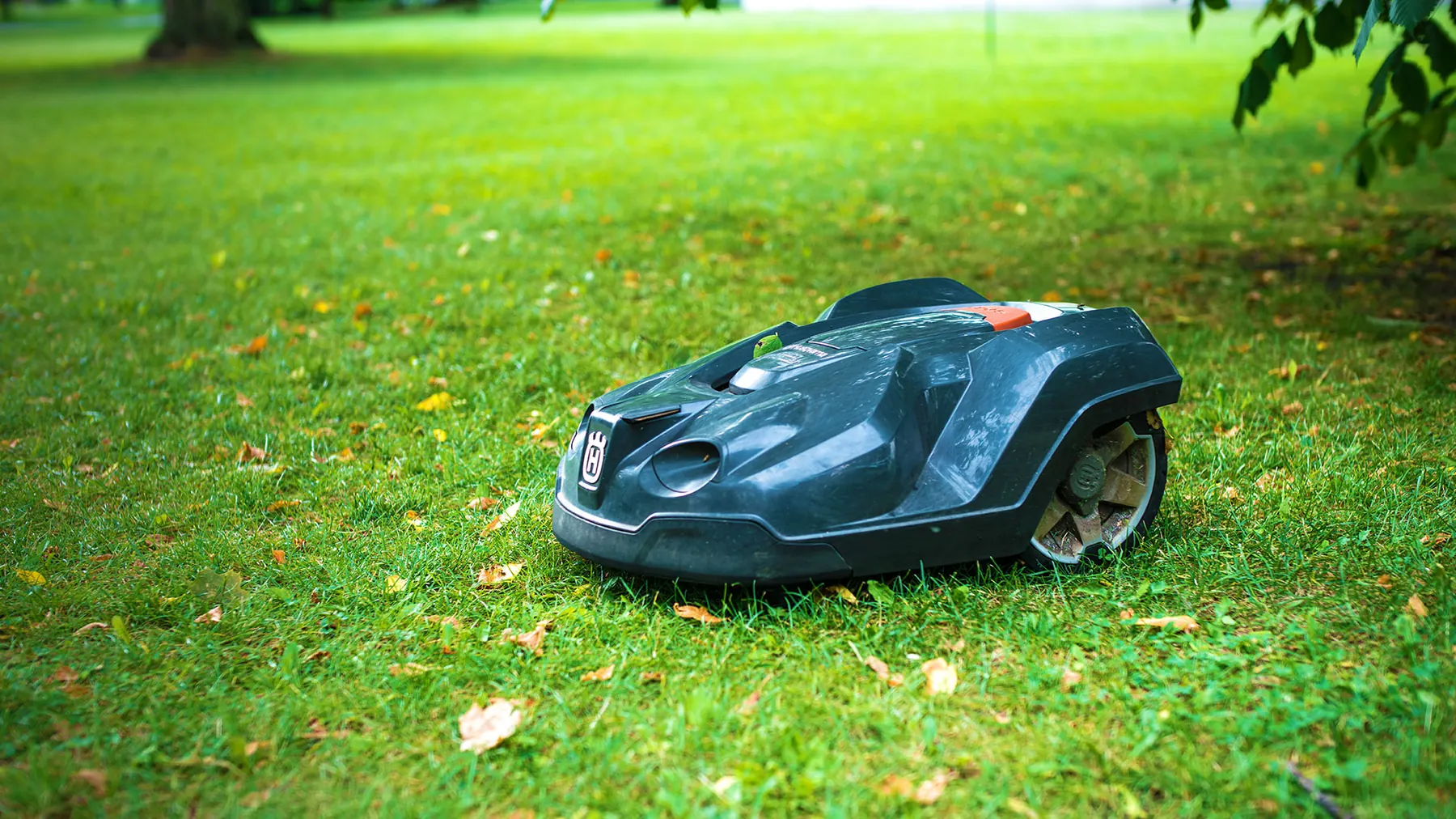 Husqvarna-Mähroboter auf einer größeren gepflegten Rasenfläche